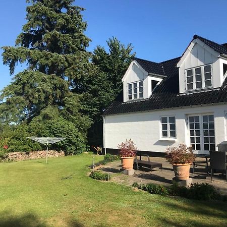 Pedersholt Bed & Breakfast Dybvad Exterior foto